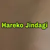 About Hareko jindagi Song