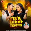 About Up Bihar Hileyga Song