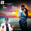 Tera Dil Mera Aashiyana (Hindi)