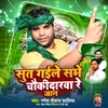 About Sut Gaile Sabhe Chaukidarva Re Jaan (Bhojpuri Song 2024) Song