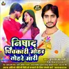 About Nishad Pichkari Mohar Tohare Mari (bhojpuri) Song