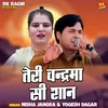 Teri Chanda Si Shan (Hindi)
