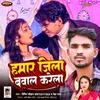 About Hamar Jila Baval Karela (Bhojpuri) Song