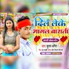 About Dil Leke Bhagal Barati Song