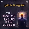 About Best Of Hazuri Ragi Shabads Vol 1 Song