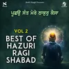 Best Of Hazuri Ragi Shabads Vol 2