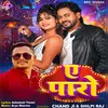 About A Paaro (Bhojpuri Song) Song