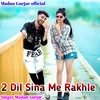 About 2 Din Sina Me Rakhle Song