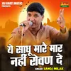 About Ye Sadhu Marai Maar Nahin Rovan De (Hindi) Song