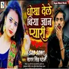 About Dhokha Dele Biya Jan Pyari (Bhojpuri) Song