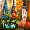 About Sunlo Meri Pukar He Bhole Nath (HINDI) Song