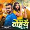 About Goli Mari Tohar Karej Pe Song