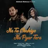 About Na Tu Chahiye Na Pyar Tera (Hindi) Song