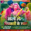 About Sali Lela Pichkari Ke Swad (Upendra Tiwari) Song