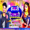 About Hamaro Pichkari (Bhojpuri) Song