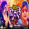 About Dhokha Dehle (bhojpuri) Song