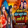 About Sonama Ge Tohar Bahut Yaad Aave Ho (Maghi) Song
