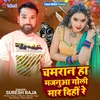 About Chamran Ha Majanuaa Goli Mar Deehin Re (Bhojpuri) Song