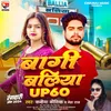 About Bagi Ballia Up 60 (Bagi Ballia up 60 song) Song