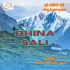About Bhina Sali Song