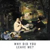 Why Did You Leave Me?