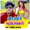 About Jani Dhodhi Me Satava Pichkari Song