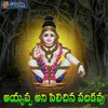 About Ayyappa Ani Pilichina Palakavu Song