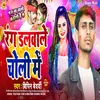 About Rang Dalwale Choli Me (Maghi) Song