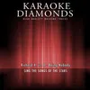 About Being Nobody (Karaoke Version) [Originally Performed By Richard X. vs. L] Song