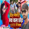 About Dil Mango Hai Gaya Vala Chhaudan 1000 Ge May Song