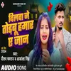 About Dilawa Je Todabu Hamar A Jaan (Bhojpuri) Song