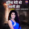 About Bahina Meri Bhare Jawani Jor Song