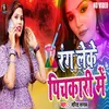 About Rang Leke Pichakari Me (Bhojpuri) Song