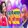 About Rahle Bhataru Ke Jija Song