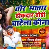About Tor Bhatar Thikdar Dhodhi Chatela Kina Re Song