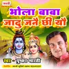 About Bhola Baba Jadu Janai Chi Yau Song