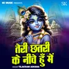 About Teri Chhatri Ke Niche Hu Mein Song