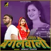 About Hamar Bagalwali Song