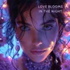 Love Blooms in the Night (Ibiza Mix)