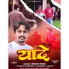 Yaade .video Song Bhanu Shri (Hindi)