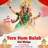 About Tere Hum Balak Hai Maiya Song