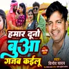 About Hamar Dono Bua Gajab Kailu (Bhojpuri) Song
