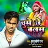 About Chume Chhe Balam (Bhojpuri) Song