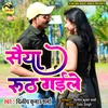 About Saiya Rooth Gaile (BHojpuri) Song