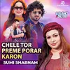 About Chele Tor Preme Porar Karon, Pt. 2 Song