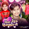 About Dil Dehau Hilkor Ge Song