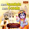 About Mere Nandlala Mere Gopala Song