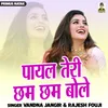 About Payal Teri Cham Cham Bole Song