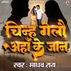 About Chinh Gelau Aha Ke Jaan (Maithili) Song