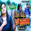 Dil Toda Tune Sanam (Bhojpuri)